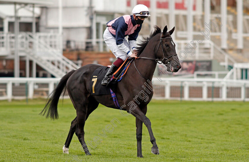 Our-New-Buddy-0001 
 OUR NEW BUDDY (Rob Hornby)
Nottingham 14 Oct 2020 - Pic Steven Cargill / Racingfotos.com