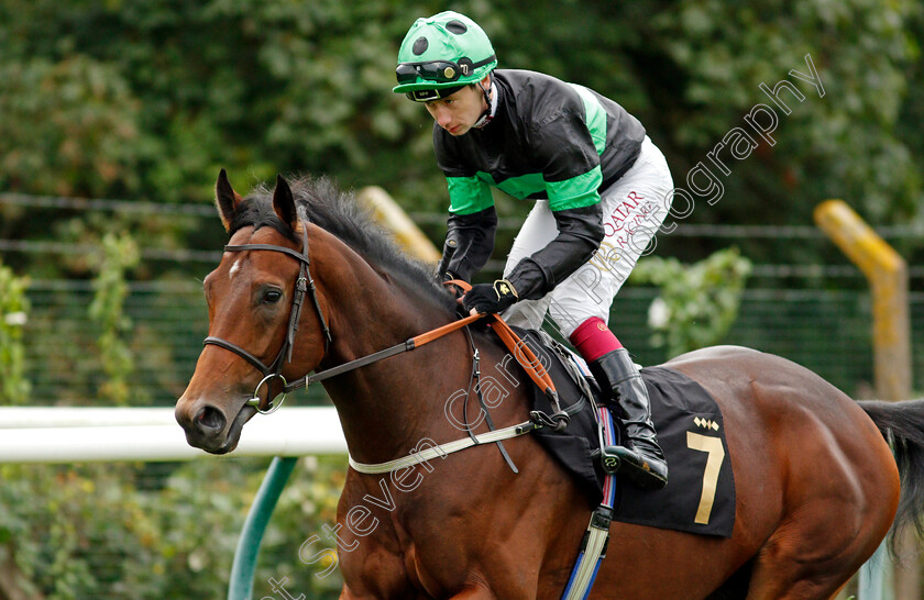 Legendary-Day-0001 
 LEGENDARY DAY (Oisin Murphy)
Nottingham 13 Oct 2021 - Pic Steven Cargill / Racingfotos.com