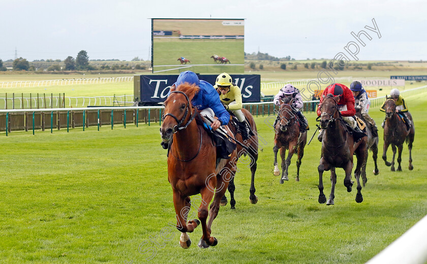 Olympus-Point-0004 
 OLYMPUS POINT (William Buick) wins The Federation Of Bloodstock Agents Nursery
Newmarket 26 Sep 2024 - Pic Steven Cargill / Racingfotos.com