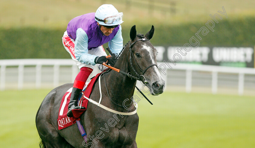 Visinari-0002 
 VISINARI (Frankie Dettori)
Goodwood 30 Jul 2019 - Pic Steven Cargill / Racingfotos.com