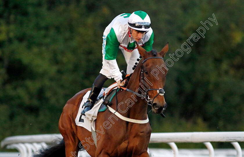 Ghasham-0001 
 GHASHAM (Richard Kingscote)
Kempton 2 Oct 2024 - pic Steven Cargill / Racingfotos.com