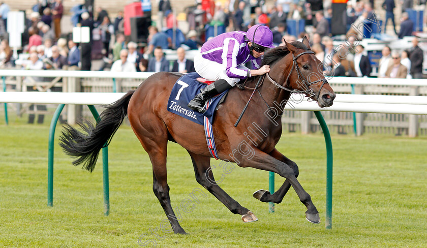 Wichita-0003 
 WICHITA (Ryan Moore) wins The Tattersalls Stakes
Newmarket 26 Sep 2019 - Pic Steven Cargill / Racingfotos.com