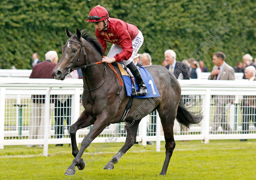 Admired-0001 
 ADMIRED (Oisin Murphy) Salisbury 7 Sep 2017 - Pic Steven Cargill / Racingfotos.com