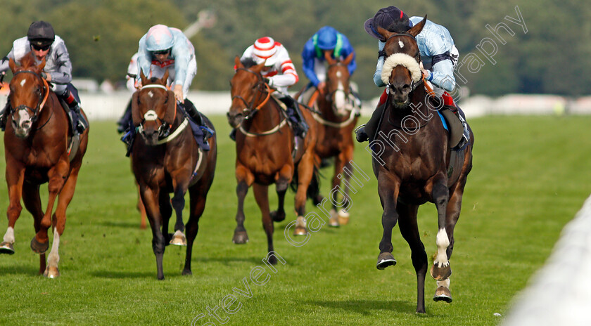 Title-0004 
 TITLE (David Egan) wins The Hippo Pro 3 Handicap
Doncaster 11 Sep 2021 - Pic Steven Cargill / Racingfotos.com