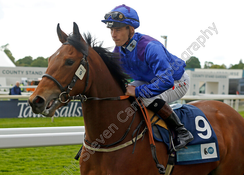 Talented 
 TALENTED (Rowan Scott)
York 11 May 2022 - Pic Steven Cargill / Racingfotos.com