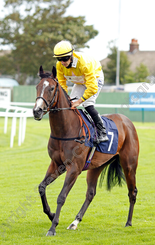 Flirty-Rascal-0002 
 FLIRTY RASCAL (Tom Marquand)
Yarmouth 25 Aug 2020 - Pic Steven Cargill / Racingfotos.com