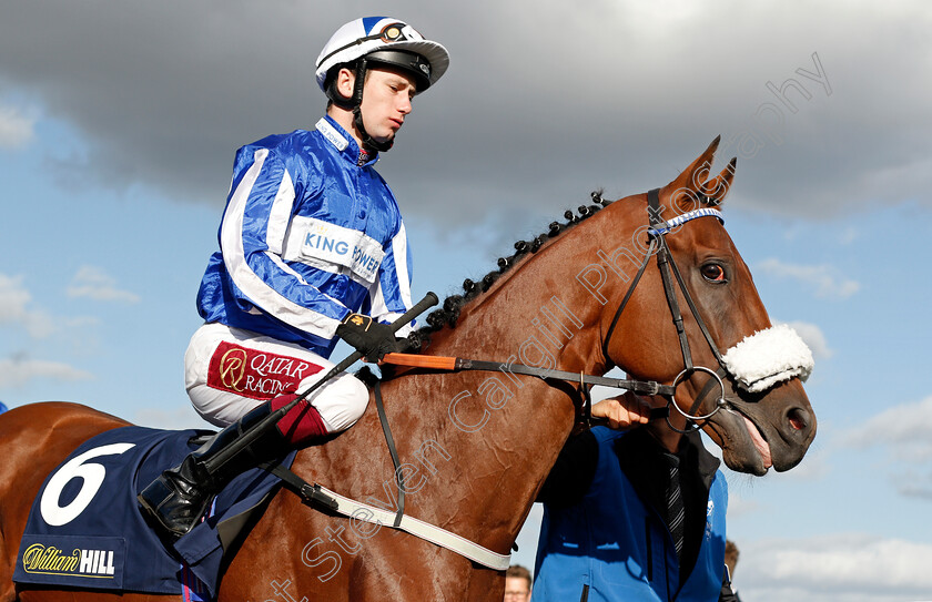 Fox-Tal-0002 
 FOX TAL (Oisin Murphy) winner of The William Hill Leading Racecourse Bookmaker Conditions Stakes
Doncaster 11 Sep 2019 - Pic Steven Cargill / Racingfotos.com