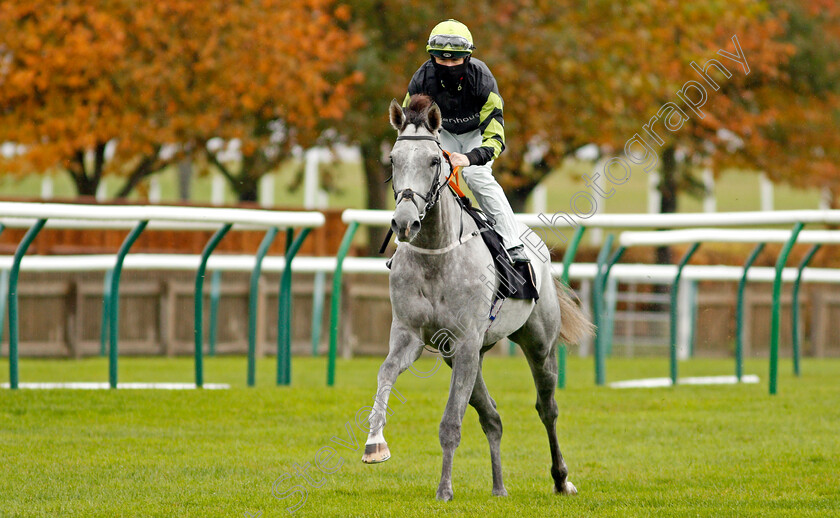 Rattling-Rosie-0001 
 RATTLING ROSIE (Richard Kingscote)
Newmarket 21 Oct 2020 - Pic Steven Cargill / Racingfotos.com