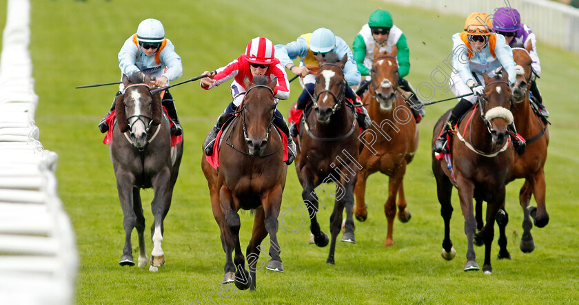 Rocket-Rodney-0003 
 ROCKET RODNEY (Daniel Muscutt) wins The Coral Dragon Stakes
Sandown 1 Jul 2022 - Pic Steven Cargill / Racingfotos.com