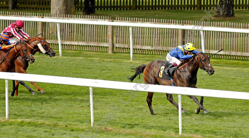 Mount-Teide-0006 
 MOUNT TEIDE (Oisin Murphy) wins The Jenningsbet Treble Odds Lucky 15 Handicap
Newmarket 10 Aug 2024 - Pic Steven Cargill / Racingfotos.com