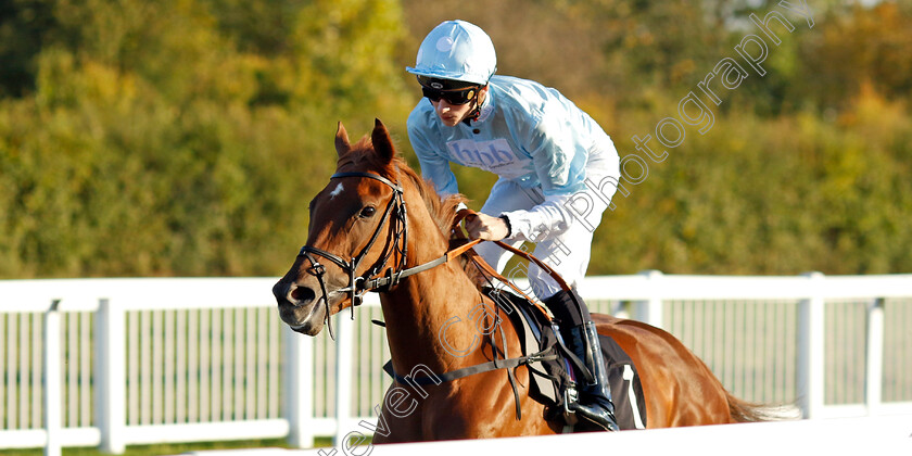 Biniorella-Bay-0001 
 BINIORELLA BAY (Harry Davies)
Chelmsford 3 Oct 2024 - Pic Steven Cargill / Racingfotos.com