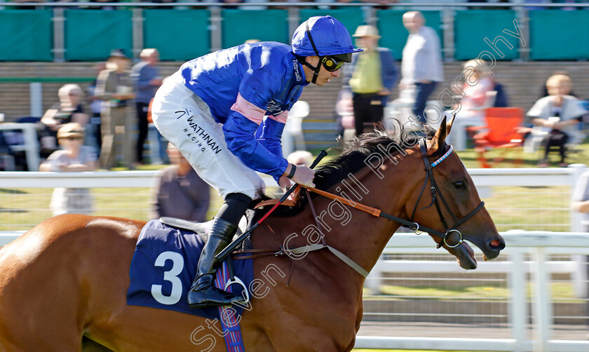 Tiete-0001 
 TIETE (James Doyle)
Yarmouth 17 Sep 2024 - Pic Steven Cargill / Racingfotos.com