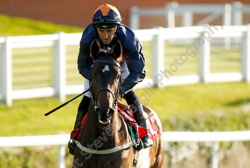 Blue-Storm-0001 
 BLUE STORM (Neil Callan)
Sandown 25 May 2023 - Pic Steven Cargill / Racingfotos.com