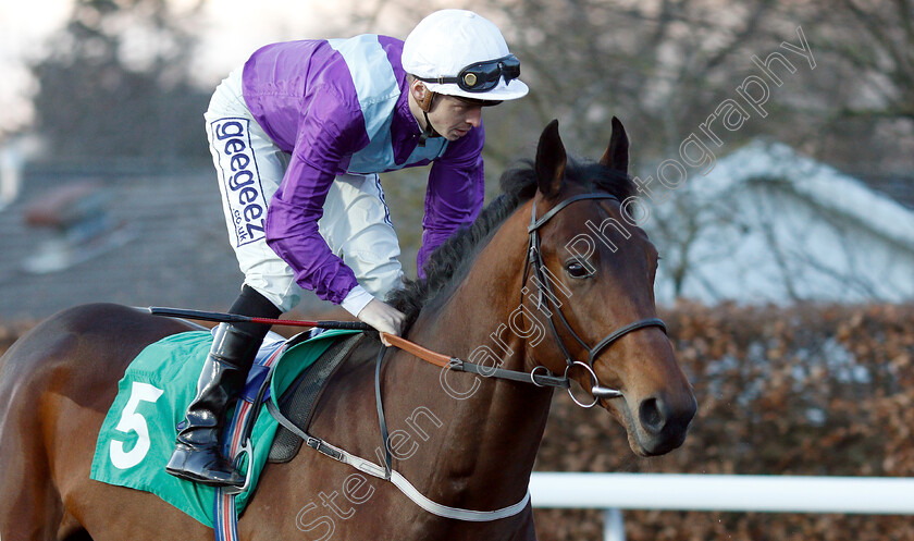 No-Nonsense-0002 
 NO NONSENSE (David Probert) winner of The Talksport Novice Stakes
Kempton 12 Dec 2018 - Pic Steven Cargill / Racingfotos.com