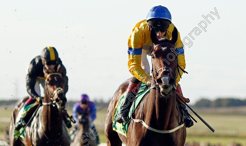 Sun-God-0001 
 SUN GOD (David Egan) wins The bet365 Old Rowley Cup Handicap
Newmarket 11 Oct 2024 - pic Steven Cargill / Racingfotos.com