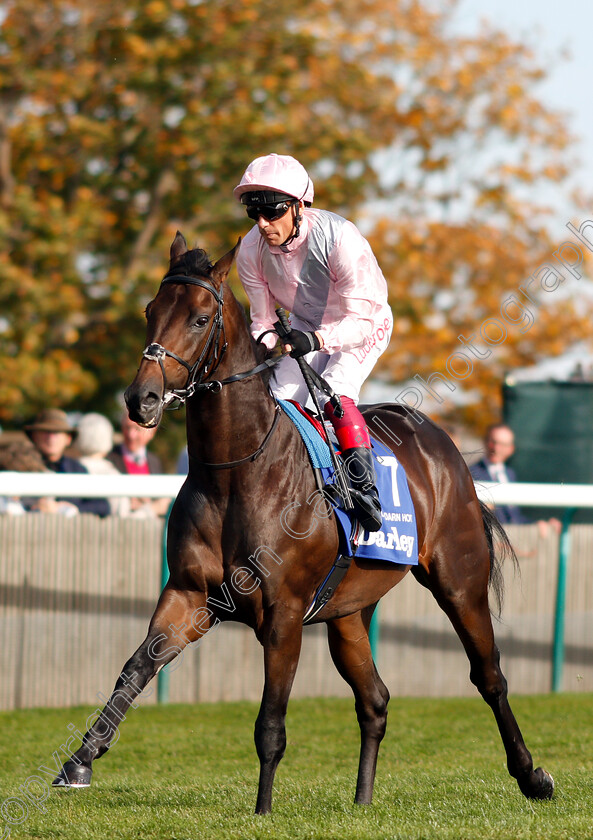 Too-Darn-Hot-0002 
 TOO DARN HOT (Frankie Dettori) before The Darley Dewhurst Stakes
Newmarket 13 Oct 2018 - Pic Steven Cargill / Racingfotos.com