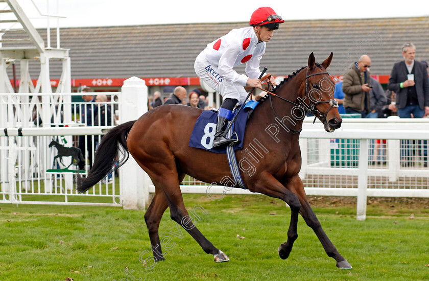 So-Darn-Hot-0001 
 SO DARN HOT (Benoit de la Sayette)
Yarmouth 22 Oct 2024 - Pic Steven Cargill / Racingfotos.com