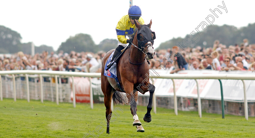 Soulcombe-0005 
 SOULCOMBE (Hollie Doyle) wins The Sky Bet Melrose Stakes
York 20 Aug 2022 - Pic Steven Cargill / Racingfotos.com