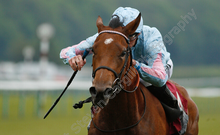 Improve-0004 
 IMPROVE (Daniel Tudhope) wins The Read Silvestre De Sousa At 188bet Fillies Novice Stakes Div2
Haydock 25 May 2018 - Pic Steven Cargill / Racingfotos.com