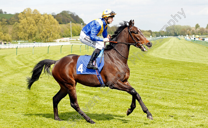 Eledeed-0001 
 ELEDEED (Richard KIngscote) Nottingham 1 May 2018 - Pic Steven Cargill / Racingfotos.com