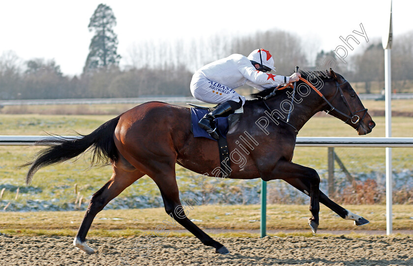 Walk-In-The-Sun-0009 
 WALK IN THE SUN (Ryan Moore) wins The 32Red Casino Novice Stakes Lingfield 27 Feb 2018 - Pic Steven Cargill / Racingfotos.com