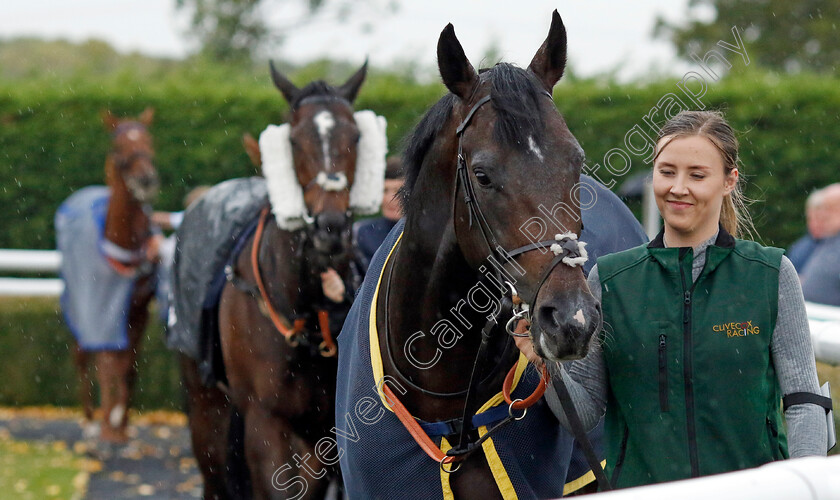 Murphy s-Dream-0011 
 MURPHY'S DREAM
Southwell 4 Oct 2022 - Pic Steven Cargill / Racingfotos.com