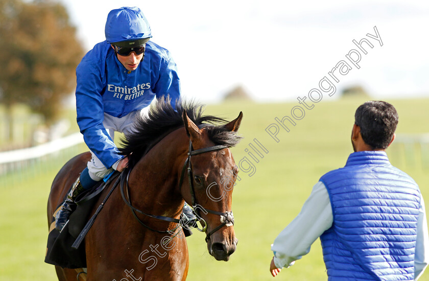 Ancient-Wisdom-0007 
 ANCIENT WISDOM (William Buick) wins The Emirates Autumn Stakes
Newmarket 14 Oct 2023 - Pic Steven Cargill / Racingfotos.com