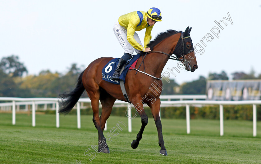 Cadeau-Belle-0001 
 CADEAU BELLE (Ben Coen)
Leopardstown 9 Sep 2023 - Pic Steven Cargill / Racingfotos.com