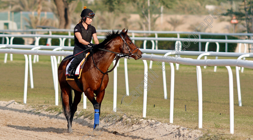 Bangkok-0004 
 BANGKOK training for the Bahrain International Trophy
Rashid Equestrian & Horseracing Club, Bahrain, 19 Nov 2020 - Pic Steven Cargill / Racingfotos.com