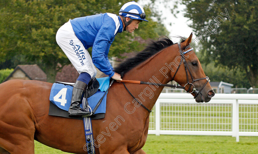 Tawaazon-0002 
 TAWAAZON (Jim Crowley)
Salisbury 12 Aug 2021 - Pic Steven Cargill / Racingfotos.com