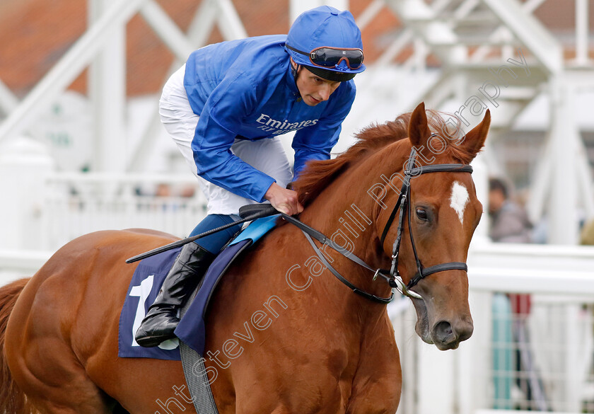 Romantic-Style-0005 
 ROMANTIC STYLE (William Buick) winner of The British EBF Fillies Novice Stakes
Yarmouth 19 Sep 2023 - Pic Steven Cargill / Racingfotos.com