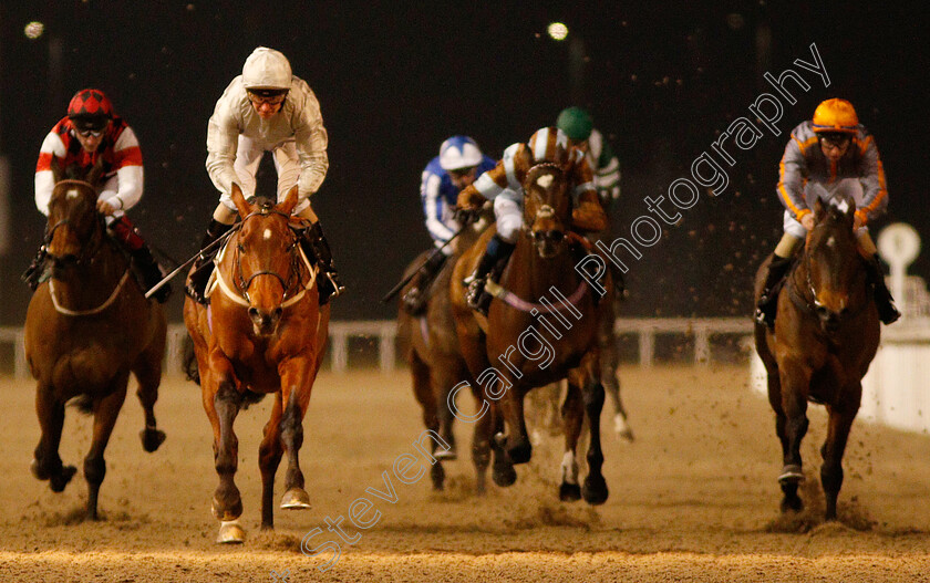 Matterhorn-0003 
 MATTERHORN (Joe Fanning) wins The Bet In Play totesport.com Handicap
Chelmsford 20 Feb 2019 - Pic Steven Cargill / Racingfotos.com