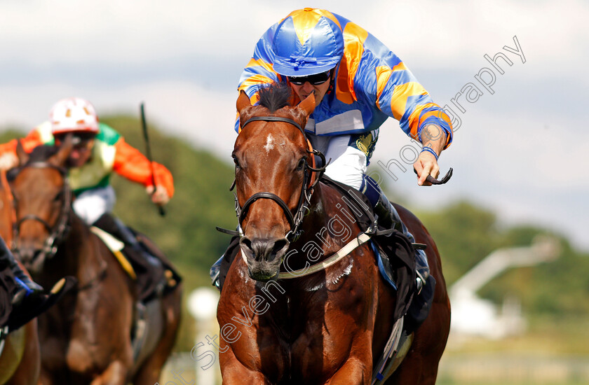 Latin-Five-0004 
 LATIN FIVE (Kevin Stott) wins The Moorgate Drink Drive RS Handicap
Nottingham 10 Aug 2021 - Pic Steven Cargill / Racingfotos.com