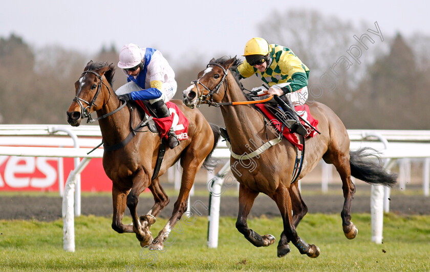 Mark-Of-Gold-and-Boombawn-0001 
 MARK OF GOLD (right, Caoilin Quinn) and BOOMBAWN (left, Harry Skelton)
Kempton 22 Feb 2025 - Pic Steven Cargill / Racingfotos.com