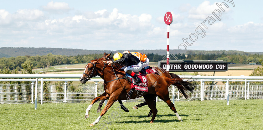 Stradivarius-0004 
 STRADIVARIUS (Andrea Atzeni) wins The Qatar Goodwood Cup
Goodwood 31 Jul 2018 - Pic Steven Cargill / Racingfotos.com