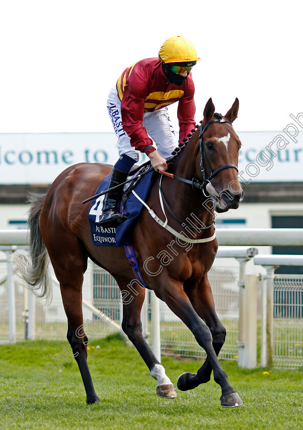 Gear-Up-0002 
 GEAR UP (Ben Curtis)
York 13 May 2021 - Pic Steven Cargill / Racingfotos.com