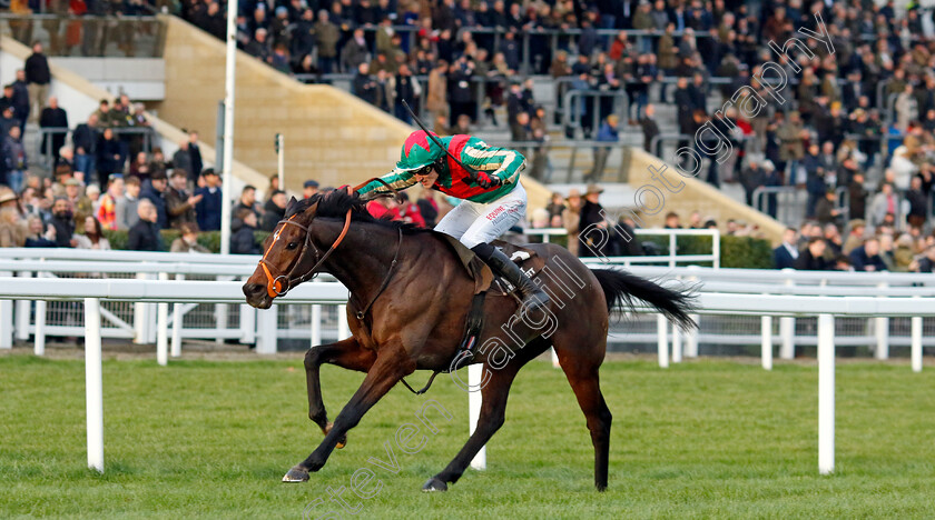 Jet-Blue-0005 
 JET BLUE (James Reveley) wins The Albert Bartlett Novices Hurdle
Cheltenham 14 Dec 2024 - Pic Steven Cargill / Racingfotos.com