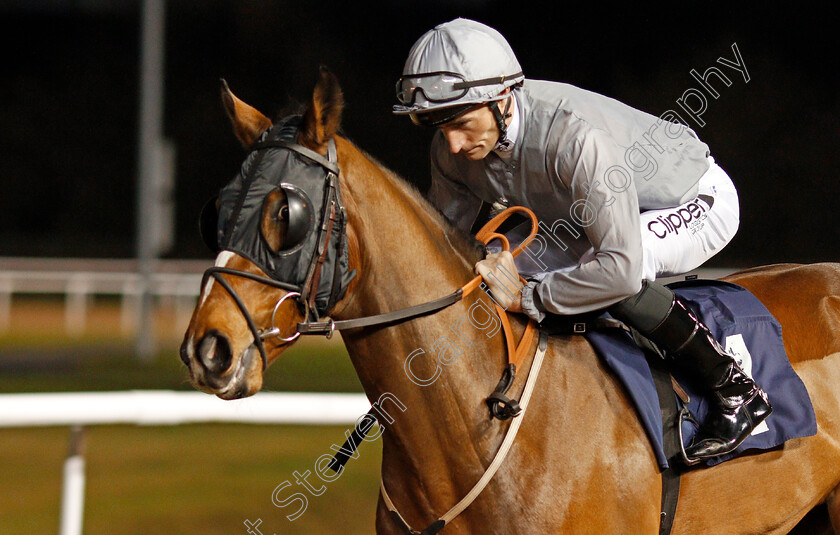 Urban-Hero-0001 
 URBAN HERO (Daniel Tudhope)
Wolverhampton 19 Dec 2019 - Pic Steven Cargill / Racingfotos.com