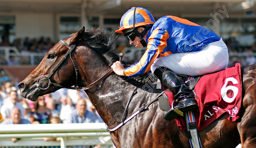 The-Irish-Rover-0007 
 THE IRISH ROVER (Ryan Moore) wins The Olympic Glory Conditions Stakes Newbury 19 May 2018 - Pic Steven Cargill / Racingfotos.com