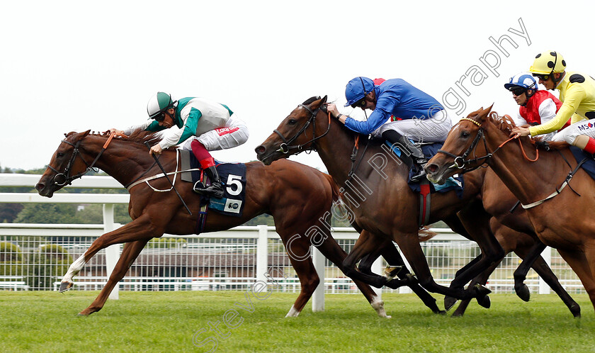 Walk-In-Marrakesh-0004 
 WALK IN MARRAKESH (Frankie Dettori) beats LIGHT BLUSH (blue) and RHEA (yellow) in The British Stallion Studs EBF Star Stakes
Sandown 25 Jul 2019 - Pic Steven Cargill / Racingfotos.com