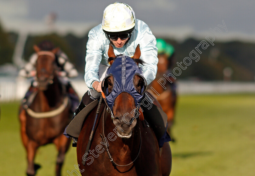 Pivoine-0004 
 PIVOINE (Ryan Moore) wins The Coopers Marquees Classified Stakes Doncaster 15 Sep 2017 - Pic Steven Cargill / Racingfotos.com