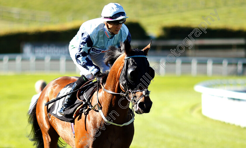 Just-An-Idea-0001 
 JUST AN IDEA (Josephine Gordon)
Goodwood 26 Sep 2018 - Pic Steven Cargill / Racingfotos.com