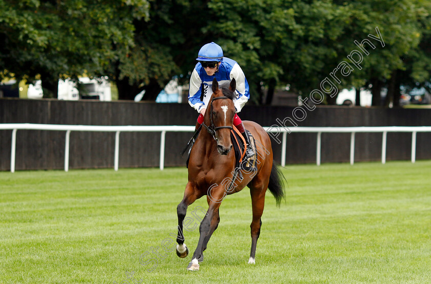 Les-Bleus-0009 
 LES BLEUS (David Egan) winner of The British Stallion Studs EBF Restricted Novice Stakes
Newmarket 28 Jul 2023 - Pic Steven Cargill / Racingfotos.com