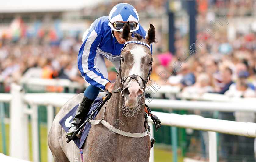 Shine-So-Bright-0001 
 SHINE SO BRIGHT (William Buick)
Doncaster 14 Sep 2019 - Pic Steven Cargill / Racingfotos.com