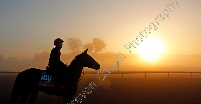 Above-The-Curve-0002 
 ABOVE THE CURVE at sunrise during training for the Breeders' Cup Filly & Mare Turf
Keeneland USA 3 Nov 2022 - Pic Steven Cargill / Racingfotos.com