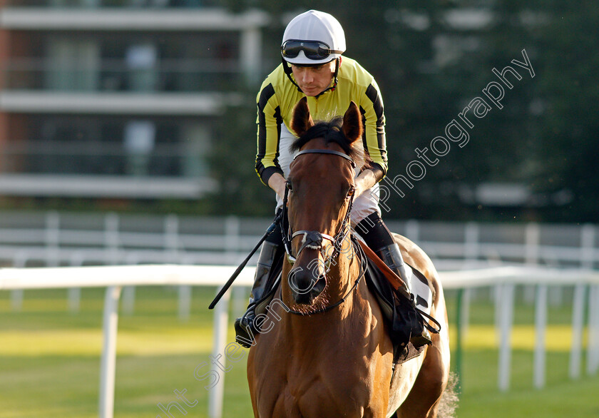 Pennypeace-0001 
 PENNYPEACE (Callum Shepherd)
Newbury 22 Jul 2021 - Pic Steven Cargill / Racingfotos.com