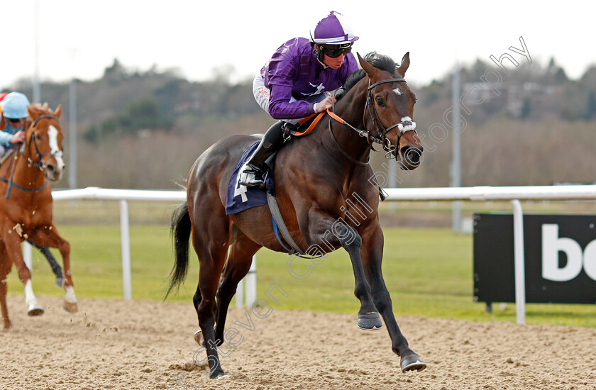 Dayman-0005 
 DAYMAN (Rossa Ryan) wins The Mansionbet Beaten By A Head Novice Stakes
Wolverhampton 12 Mar 2022 - Pic Steven Cargill / Racingfotos.com