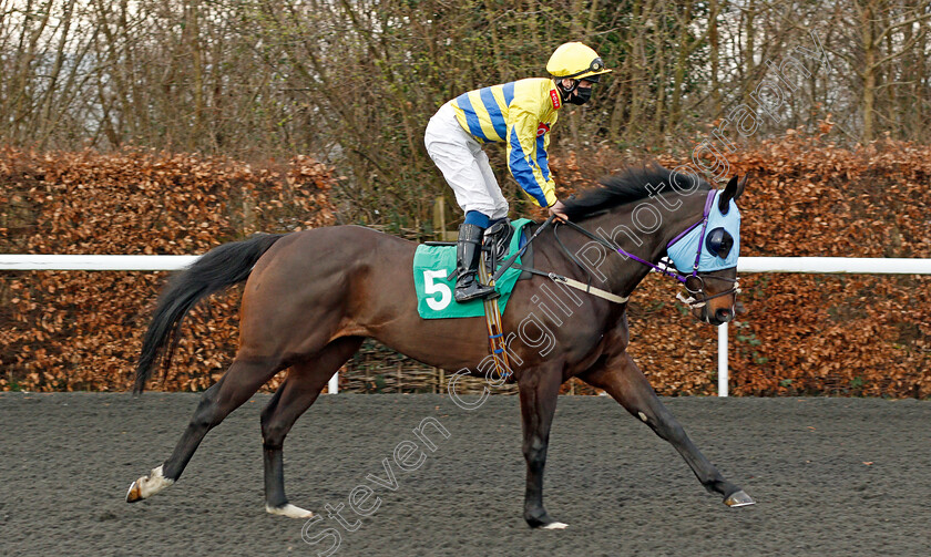 Desert-Boots-0001 
 DESERT BOOTS (George Rooke)
Kempton 24 Feb 2021 - Pic Steven Cargill / Racingfotos.com