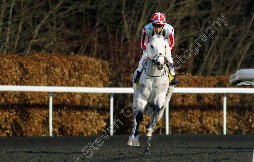 Restorer-0003 
 RESTORER (Georgia King)
Kempton 2 Mar 2022 - Pic Steven Cargill / Racingfotos.com