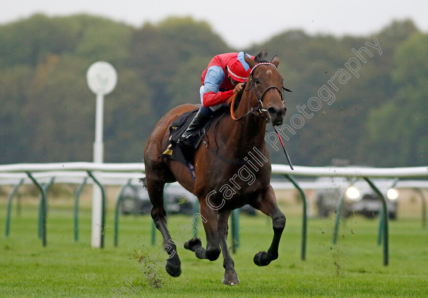 Divine-Comedy-0004 
 DIVINE COMEDY (Kaiya Fraser) wins The Trustatrader Fully Vetted Tradespeople Fillies Handicap
Nottingham 11 Oct 2023 - Pic Steven Cargill / Racingfotos.com